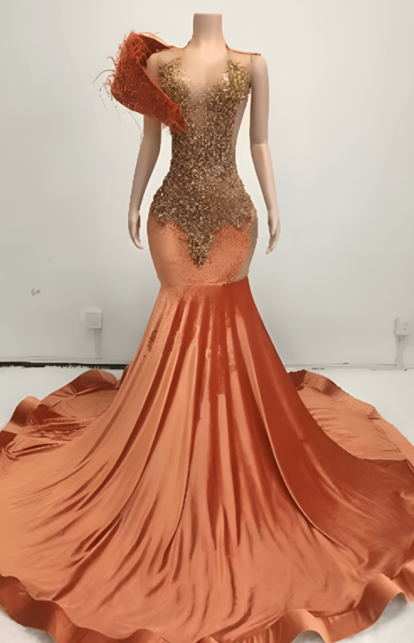Luxury Orange Dress #6
